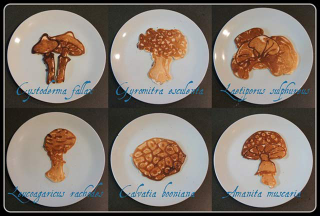 Illustration for article titled Animals in Unbelievable Detail Drawn Entirely in Pancake Batter